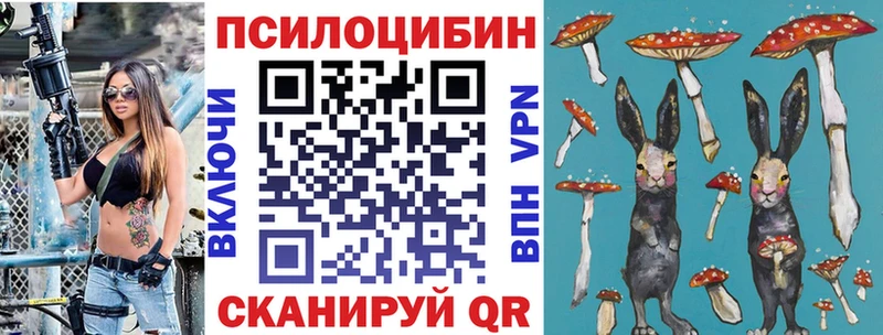 даркнет сайт  Каменск-Уральский  Галлюциногенные грибы Magic Shrooms 