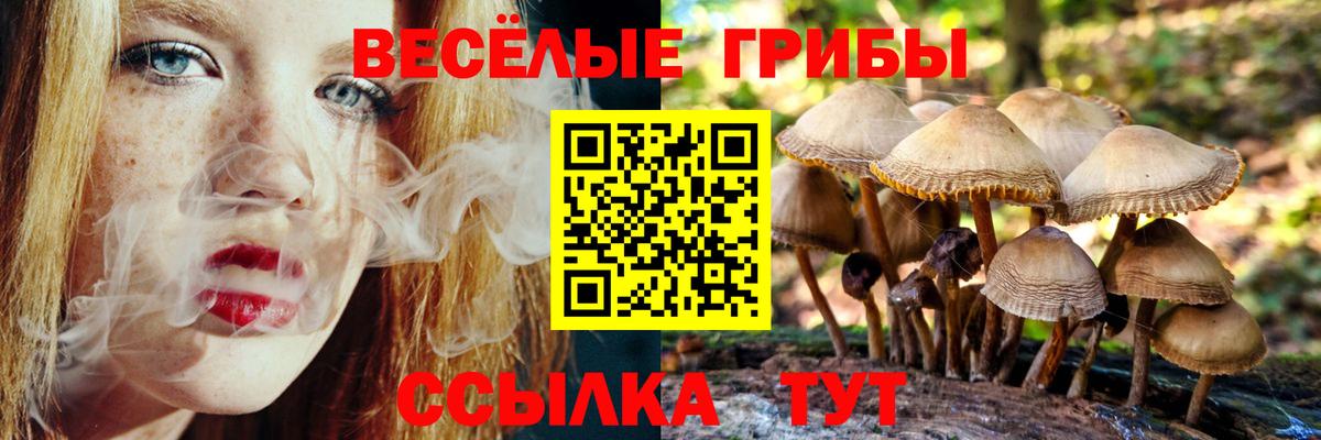 Псилоцибиновые грибы Cubensis Каменск-Уральский