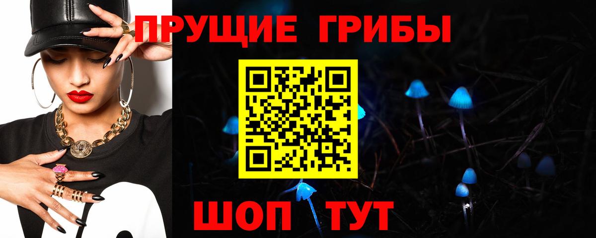 Псилоцибиновые грибы Psilocybine cubensis  Вход с VPN  Каменск-Уральский 